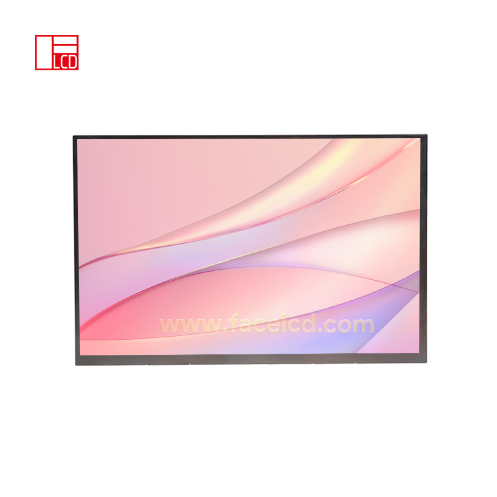 10.1inch 1280X720 IPS TFT LCD Display with LVDS (1)